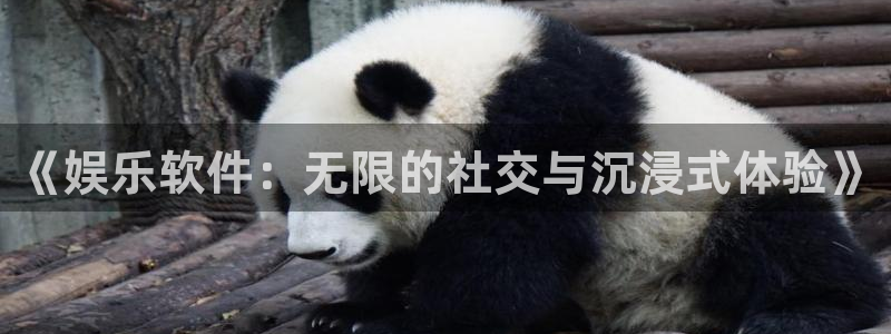 AB娱乐：《娱乐软件：无限的社交与沉浸式体验》