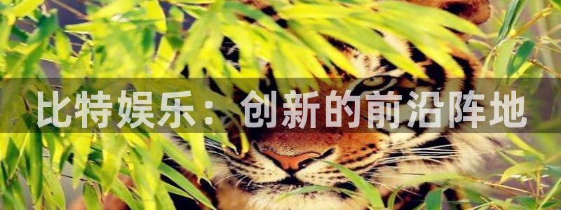 AB娱乐：比特娱乐：创新的前沿阵地