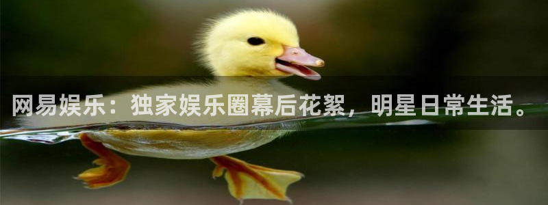 AB娱乐：网易娱乐：独家娱乐圈幕后花絮，明星日常生活。
