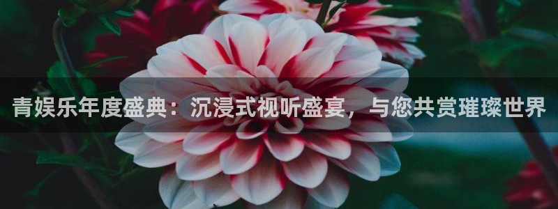 AB娱乐：青娱乐年度盛典：沉浸式视听盛宴，与您共赏璀璨世界